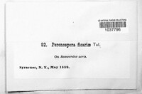 Image Associated With the Occurence